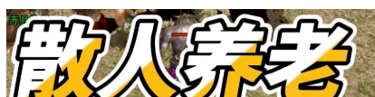散人到底是什么意思？