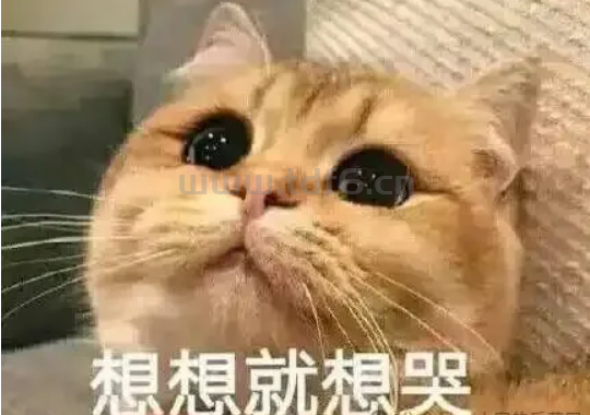 花11天去测一个单机版本，同行早就把钱挣完了！
